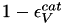 $ 1-\epsilon^{cat}_V $